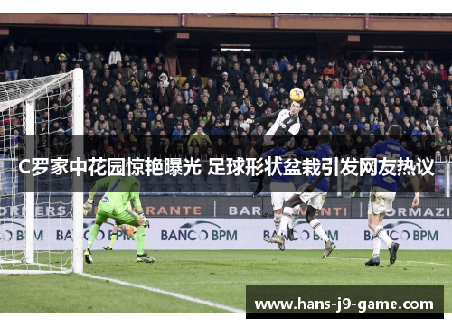 C罗家中花园惊艳曝光 足球形状盆栽引发网友热议