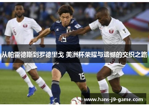 从帕雷德斯到罗德里戈 美洲杯荣耀与遗憾的交织之路