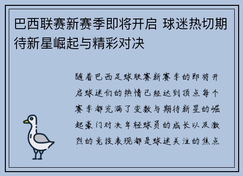 巴西联赛新赛季即将开启 球迷热切期待新星崛起与精彩对决